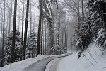 DSC02142.jpg