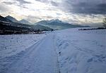 IMG_20160119_143255.jpg