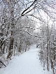IMG_1197.JPG