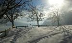 IMG-20160120-WA0003.jpeg