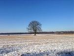 IMG_2545.JPG