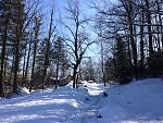 IMG_0973.jpg