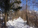 IMG_0980.jpg