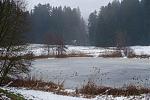 DSC02159.jpg
