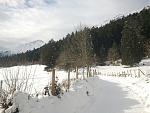 IMG_20160124_141359.jpg