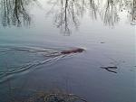 20160126_171642.jpg