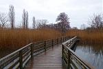 DSC02171.jpg