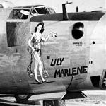 1363599682_Lilly Marlene americana.jpg