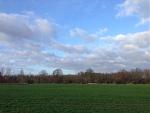 IMG_2613.JPG