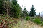 DSC02210.jpg