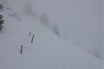 DSC02243.jpg