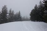 DSC02259.jpg