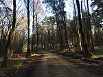 IMG_2119.jpg