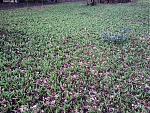 IMG_20160221_135434.jpg