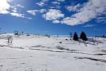 DSC02283.jpg