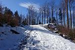 DSC02305.jpg