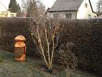 IMG_2764.JPG