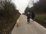 IMG_2289 Kopie.jpg