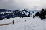 DSC02386.jpg