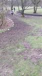 DM Cross Herten 2016 II.jpg