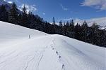 DSC02419.jpg