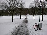 P1010922a.jpg