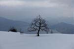 DSC02465.jpg