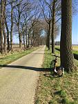 img_0463.jpg