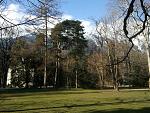 IMG_20160314_154140.jpg