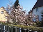 100_4942.JPG