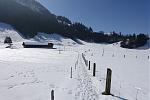 DSC02509.jpg