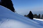 DSC02523.jpg