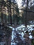 2016-03-19 15.47.33.jpg