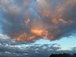 IMG_2532.jpg