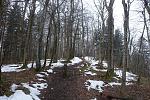 DSC02544.jpg