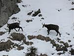 IMG_2750a.JPG
