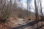 DSC02549.jpg