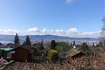 DSC02550.jpg