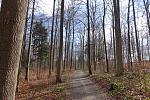 DSC02558.jpg