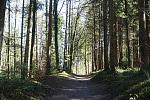 DSC02571.jpg