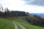 DSC02595.jpg