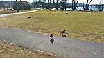IMG_20160328_120501.jpg