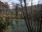 IMG_20160331_141016.jpg