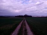 schoene_aussicht.jpg