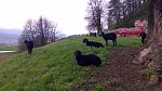 IMG_20160408_134536.jpg