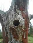 20160408_161143.jpg