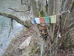 20160408_154721.jpg