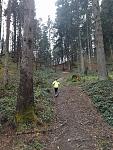 Waldweg.jpg