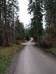 7-Wegekreuzung.jpg
