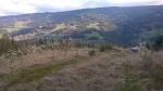WP_20160410_08_54_05_Pro.jpg